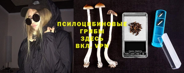 мдпв Снежногорск