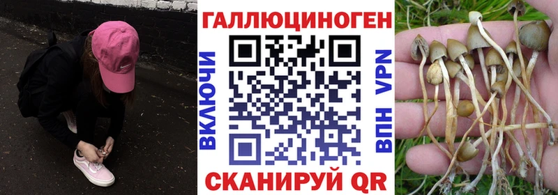 хочу наркоту  нарко площадка состав  Галлюциногенные грибы Magic Shrooms  Кумертау 